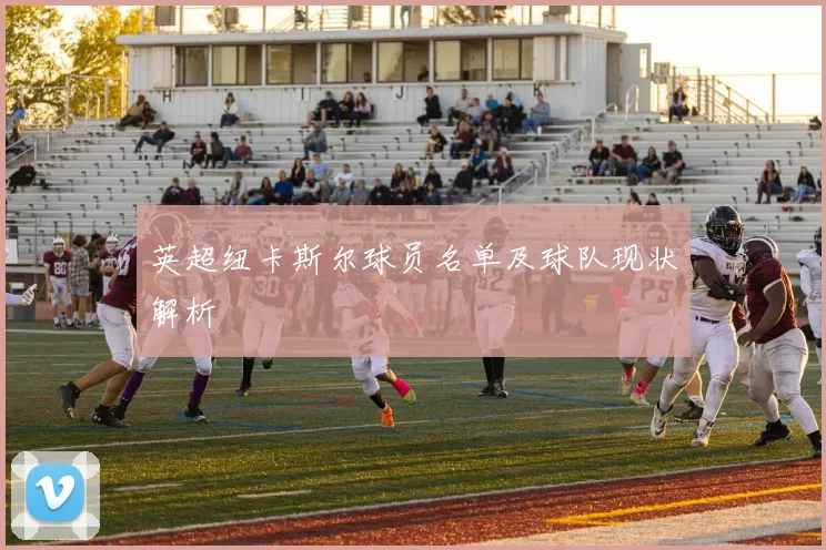 英超纽卡斯尔球员名单及球队现状解析