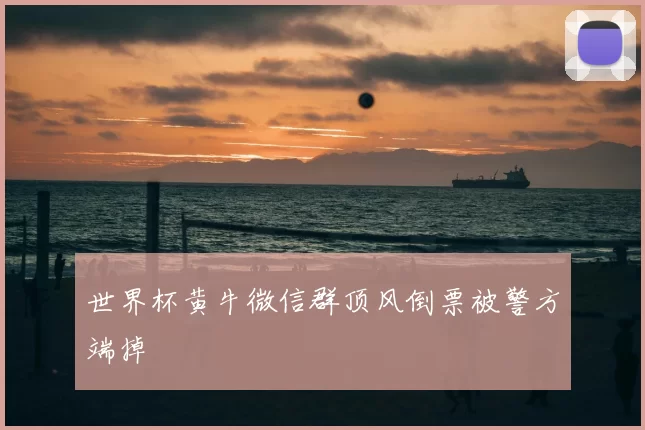 世界杯黄牛微信群顶风倒票被警方端掉