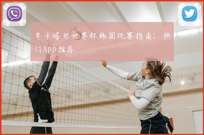 年卡塔尔世界杯韩国观赛指南:热门App推荐