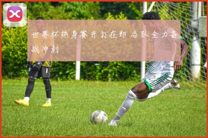 世界杯热身赛开打在即 各队全力备战冲刺