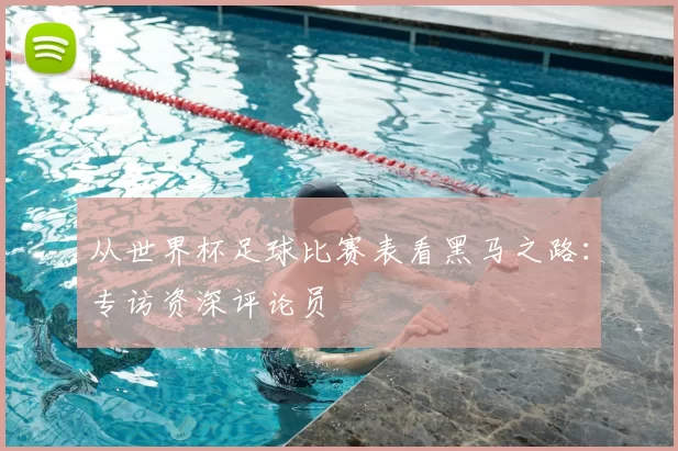 从世界杯足球比赛表看黑马之路:专访资深评论员