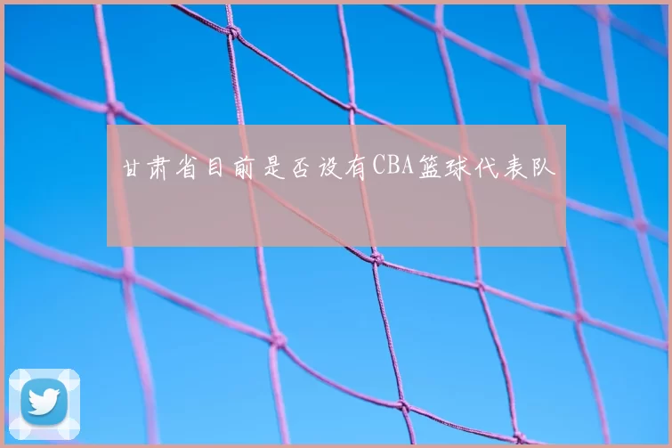 甘肃省目前是否设有CBA篮球代表队