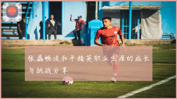 张磊畅谈和平精英职业生涯的成长与挑战分享