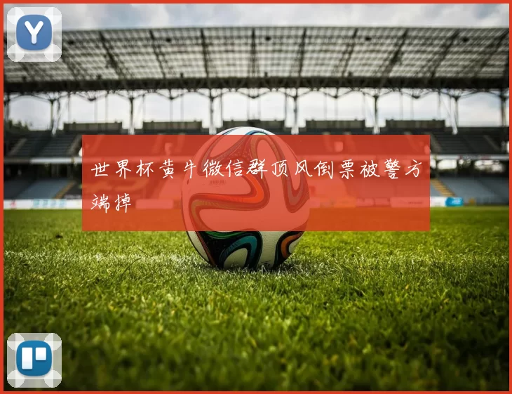 世界杯黄牛微信群顶风倒票被警方端掉