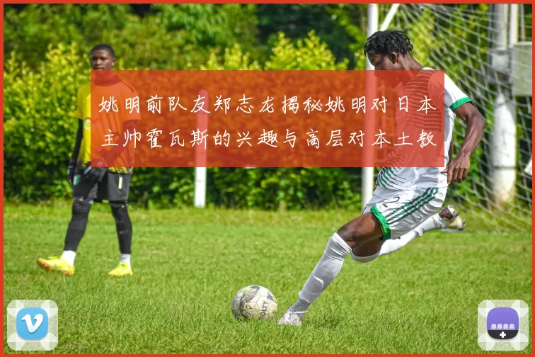 姚明前队友郑志龙揭秘姚明对日本主帅霍瓦斯的兴趣与高层对本土教练的偏好