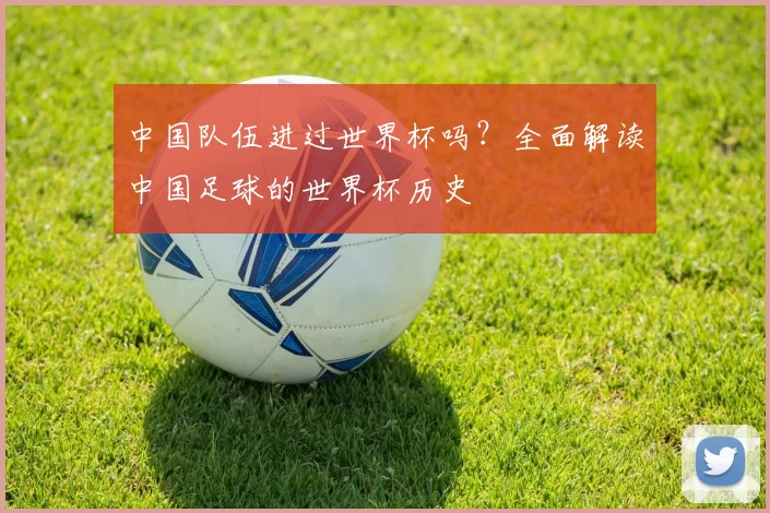 中国队伍进过世界杯吗?全面解读中国足球的世界杯历史