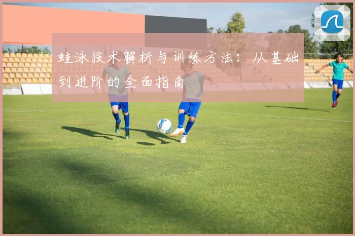 蛙泳技术解析与训练方法:从基础到进阶的全面指南