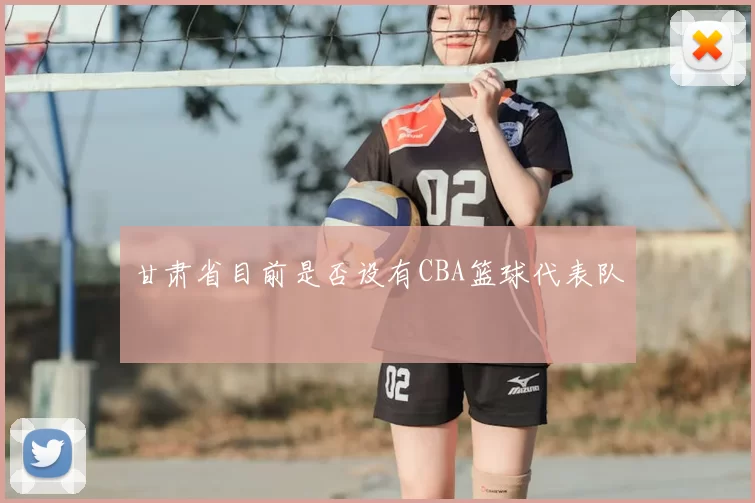 甘肃省目前是否设有CBA篮球代表队