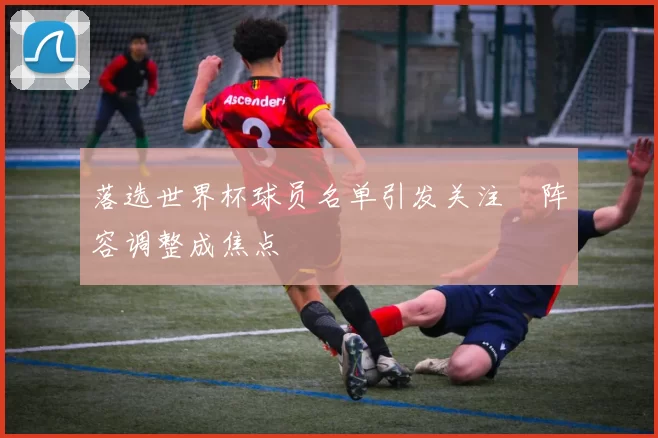 落选世界杯球员名单引发关注 阵容调整成焦点