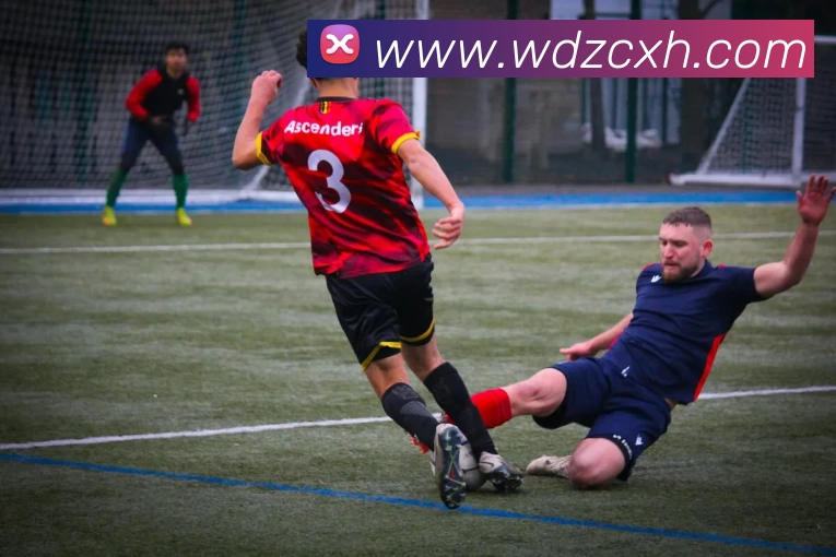 星空官网平台生态图