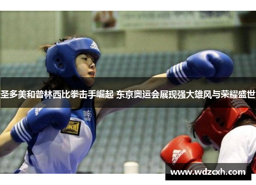 圣多美和普林西比拳击手崛起 东京奥运会展现强大雄风与荣耀盛世