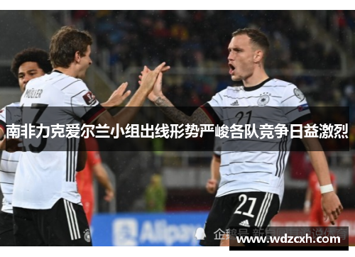 南非力克爱尔兰小组出线形势严峻各队竞争日益激烈