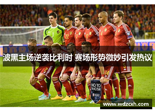 波黑主场逆袭比利时 赛场形势微妙引发热议