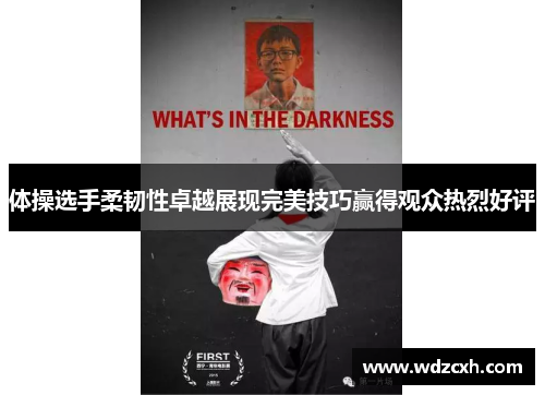 体操选手柔韧性卓越展现完美技巧赢得观众热烈好评